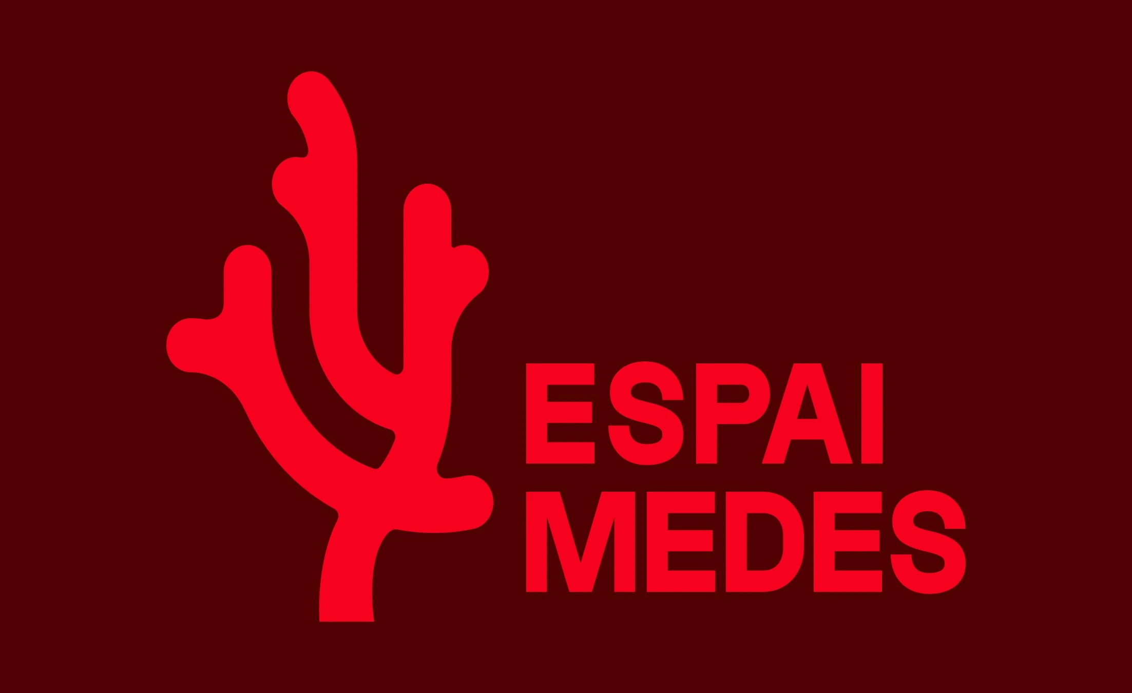 Web Espai Medes, un viatge al fons del mar